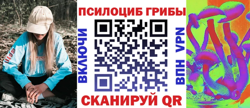 omg ссылка  где купить наркоту  Луза  Галлюциногенные грибы Cubensis 